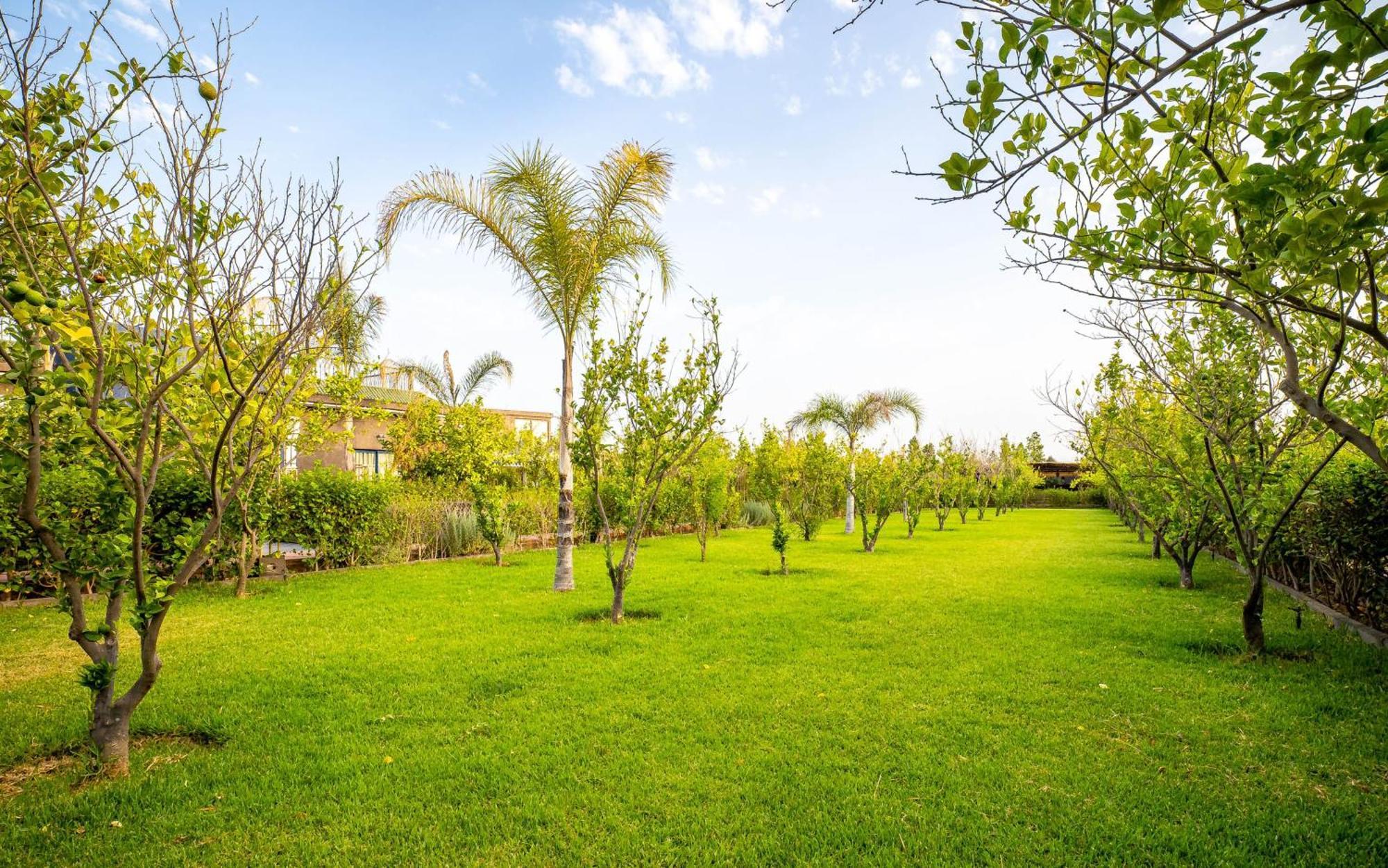 The Lemonary Marrakech Hotel Ouled Moumen ภายนอก รูปภาพ