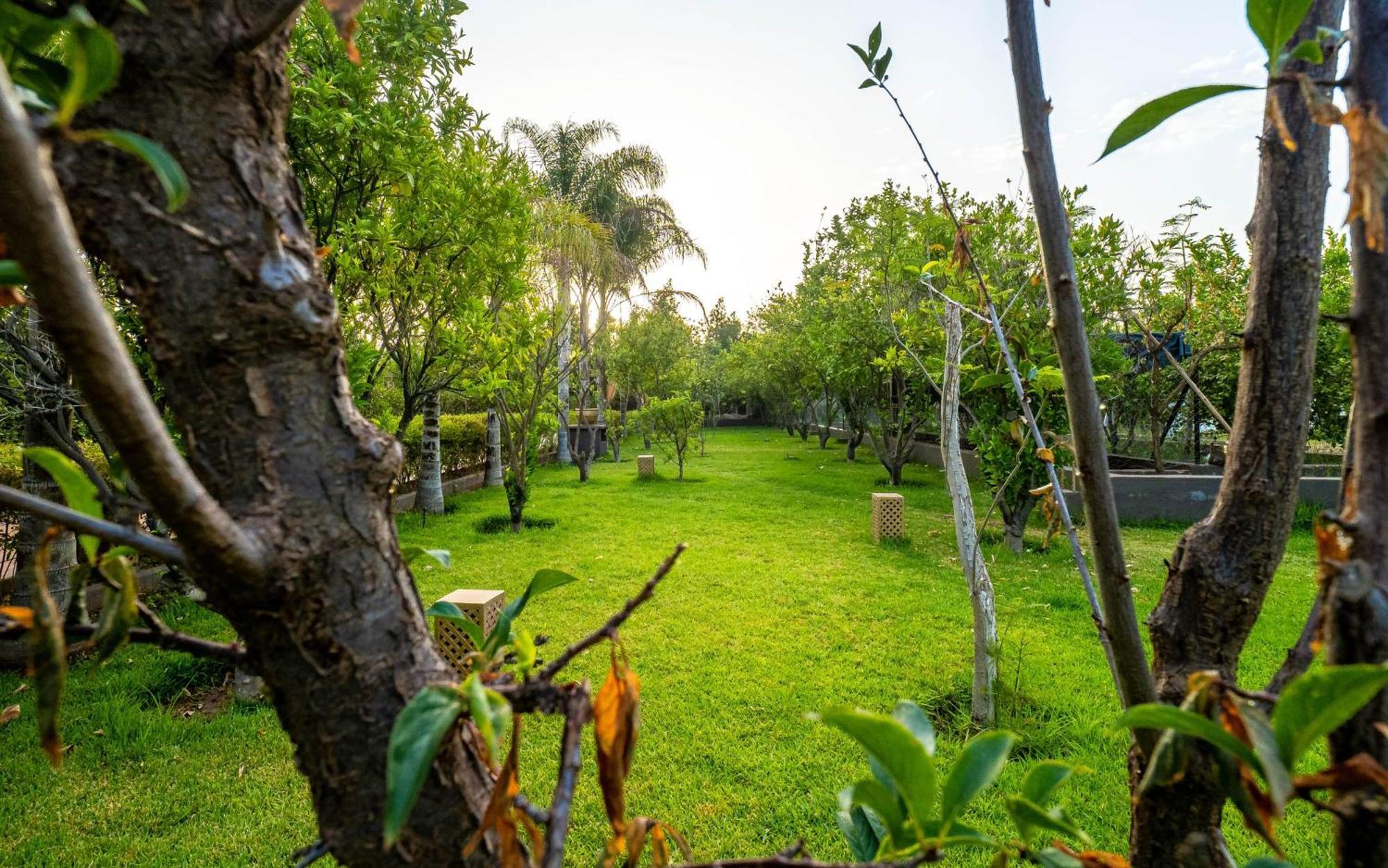 The Lemonary Marrakech Hotel Ouled Moumen ภายนอก รูปภาพ