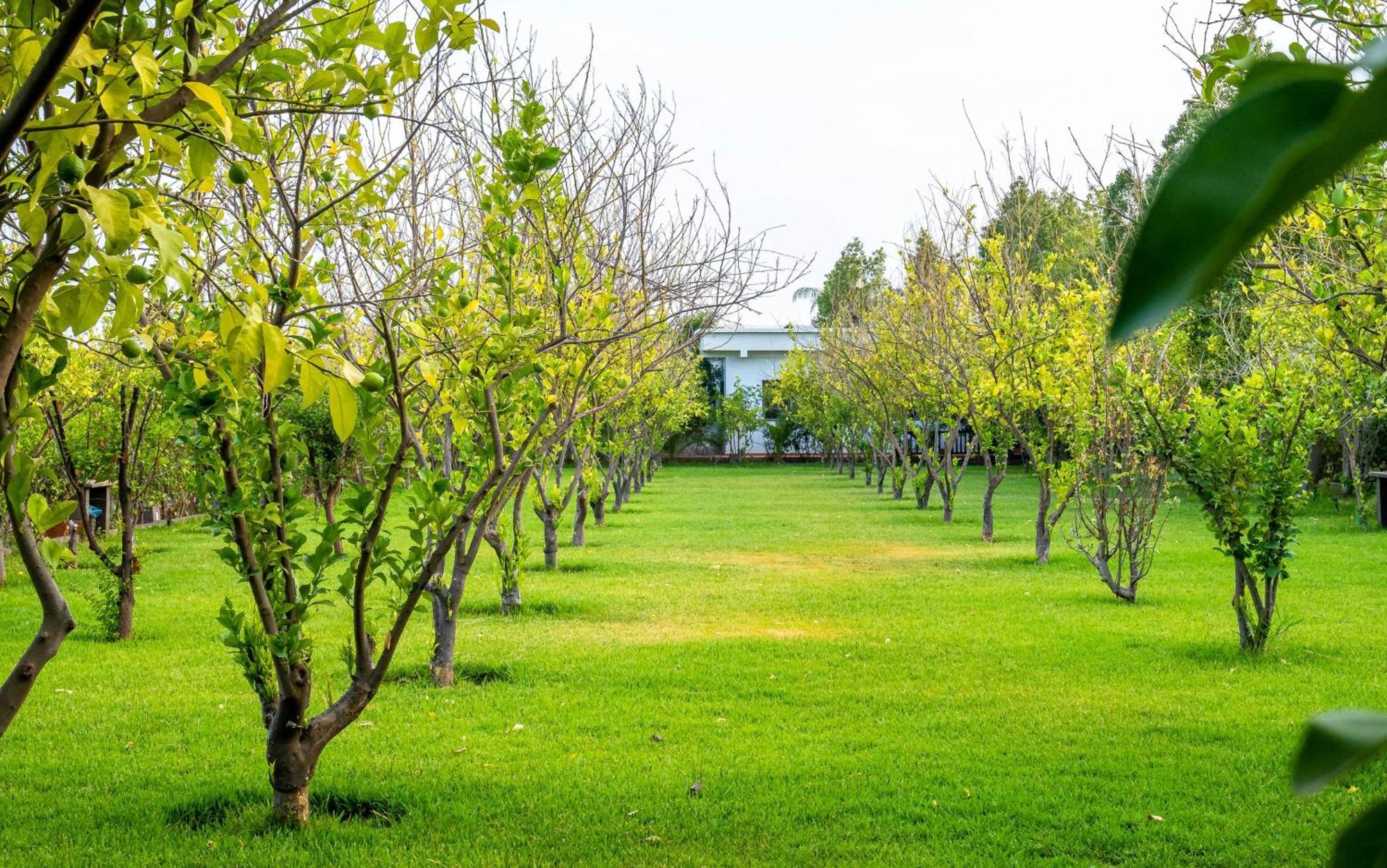 The Lemonary Marrakech Hotel Ouled Moumen ภายนอก รูปภาพ