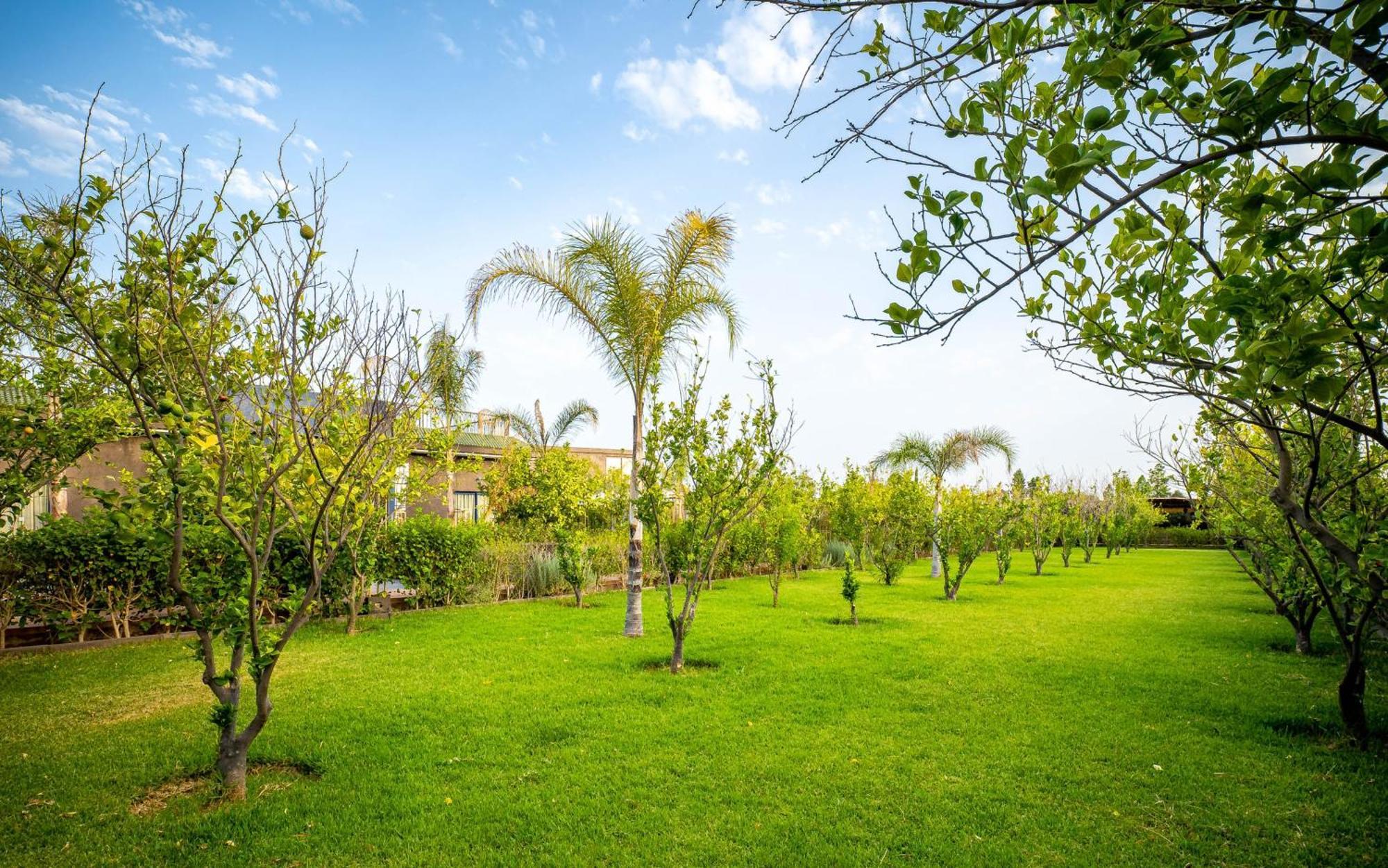 The Lemonary Marrakech Hotel Ouled Moumen ภายนอก รูปภาพ