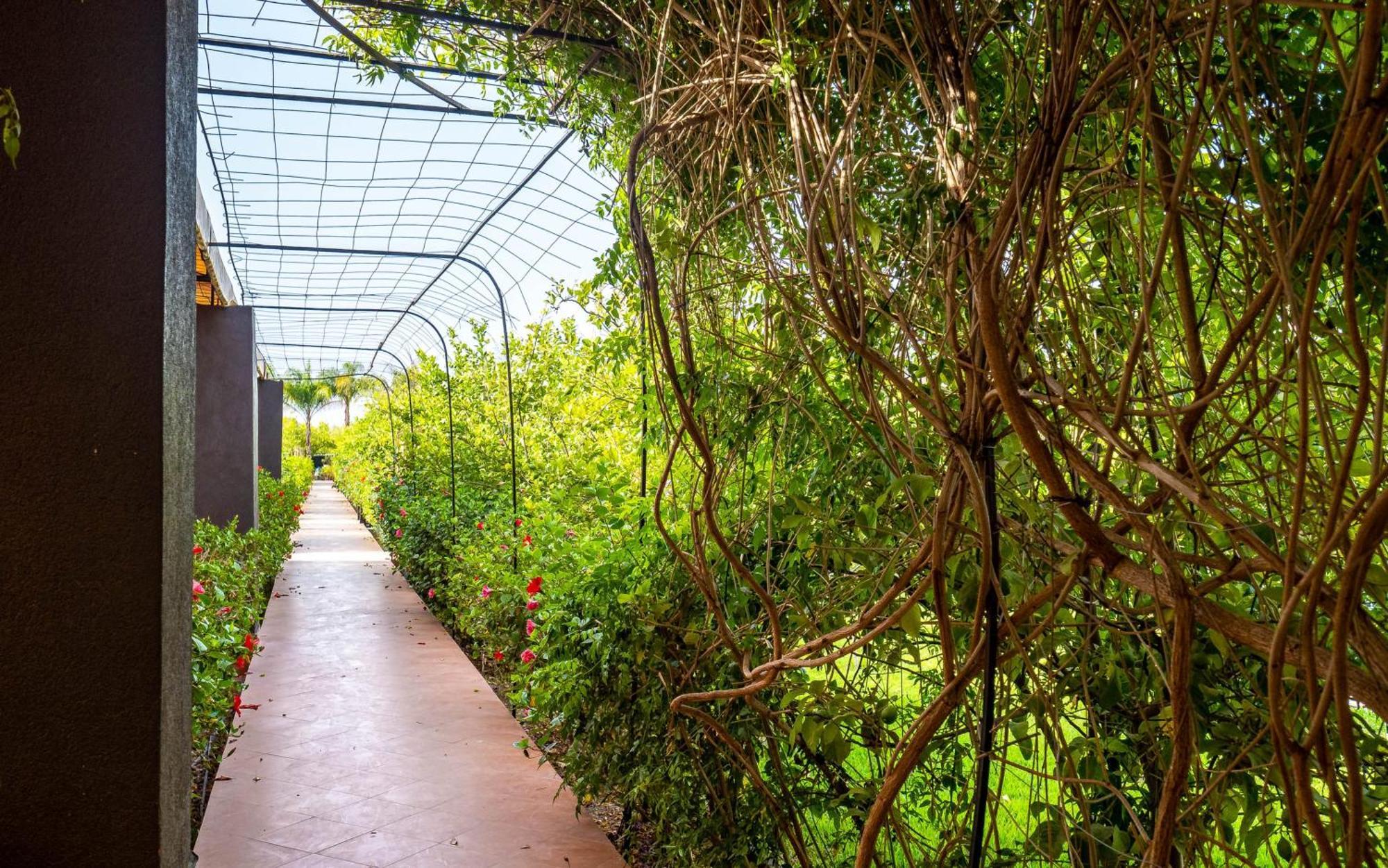 The Lemonary Marrakech Hotel Ouled Moumen ภายนอก รูปภาพ