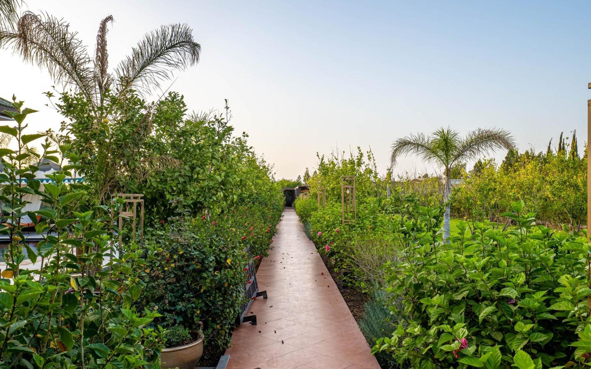 The Lemonary Marrakech Hotel Ouled Moumen ภายนอก รูปภาพ