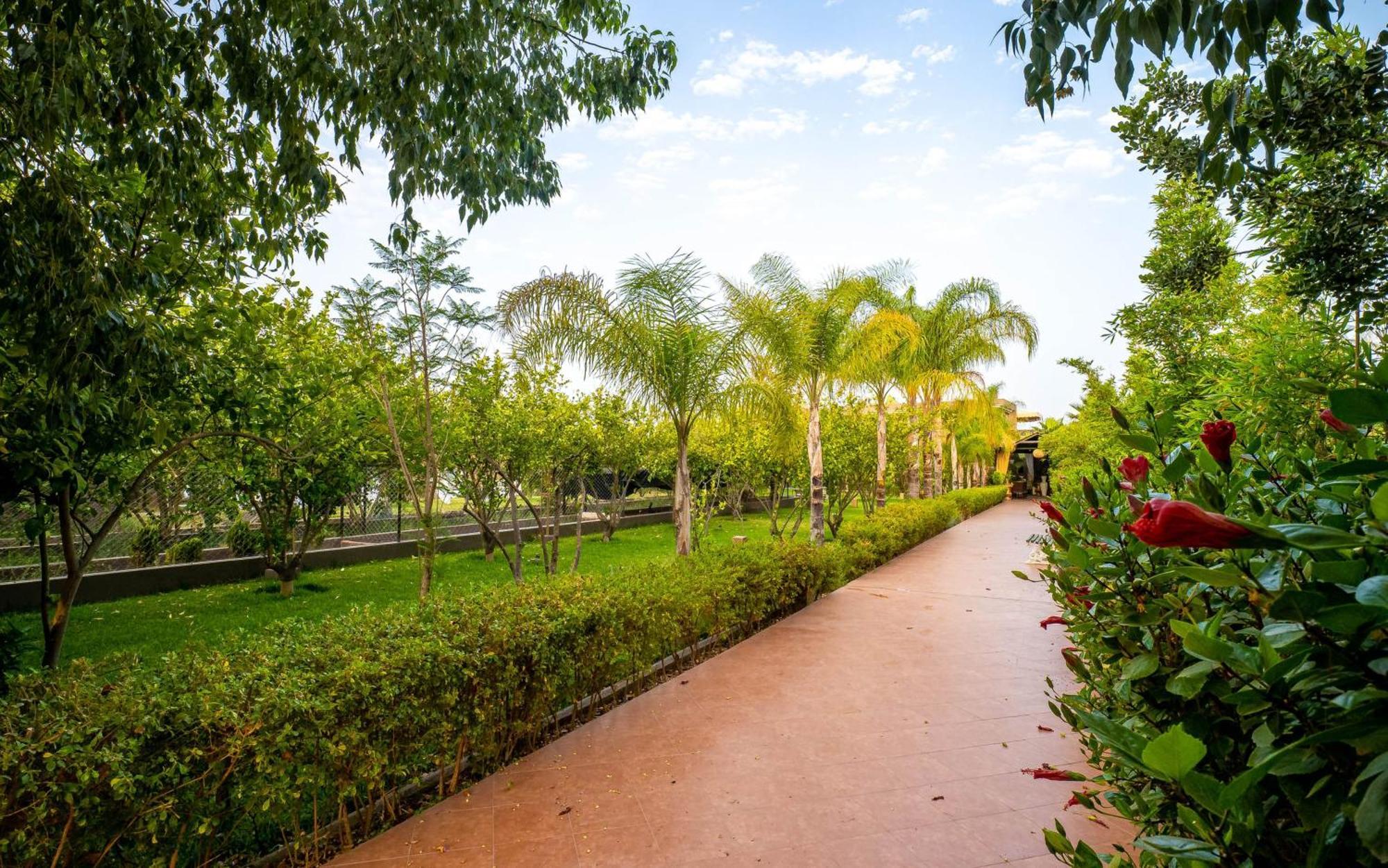 The Lemonary Marrakech Hotel Ouled Moumen ภายนอก รูปภาพ