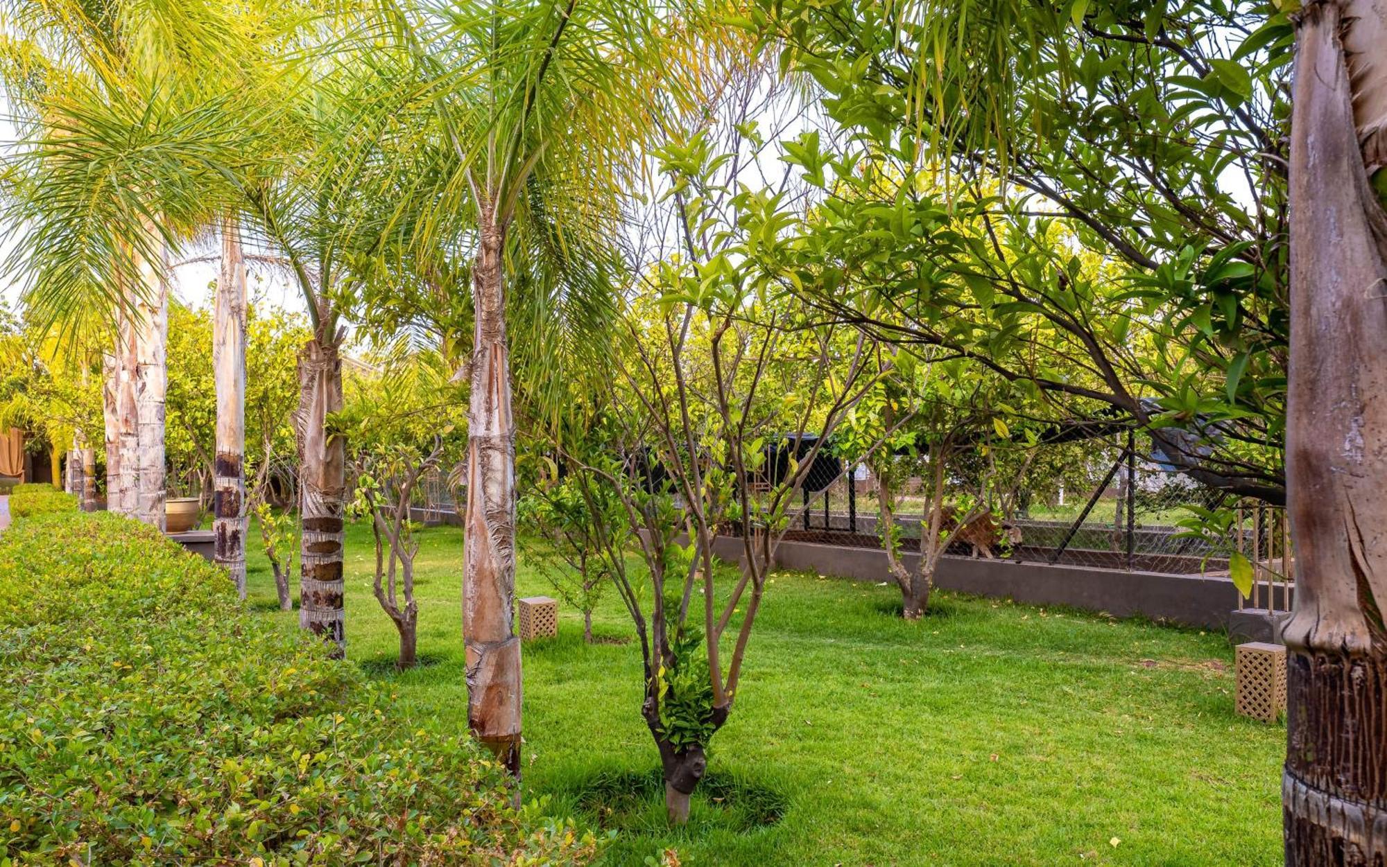 The Lemonary Marrakech Hotel Ouled Moumen ภายนอก รูปภาพ